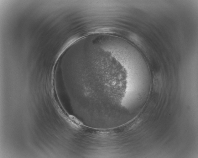 X0000067461378200604101122