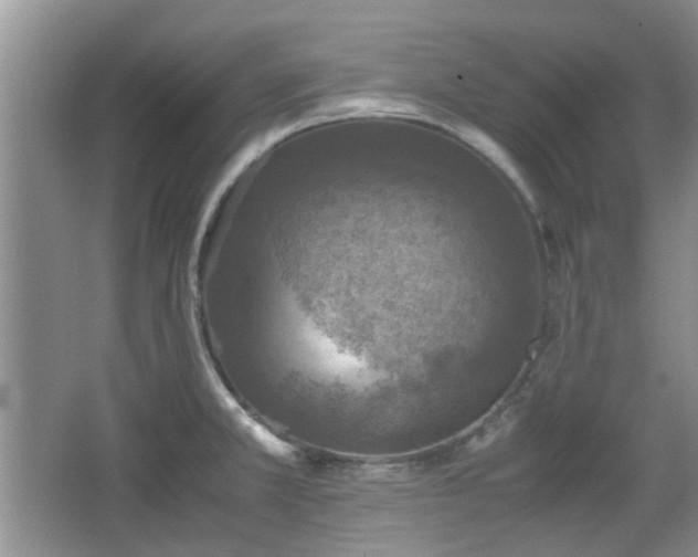 X0000067461381200604101122