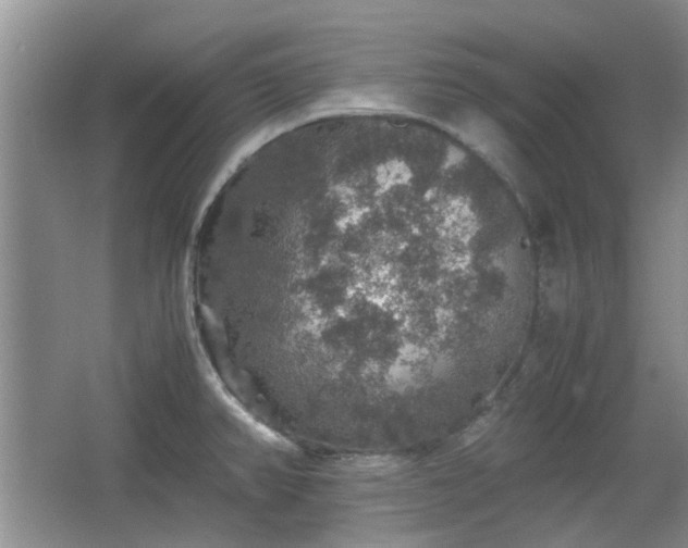 X0000067461382200604101122