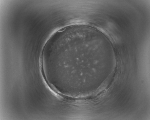 X0000067461383200604101122