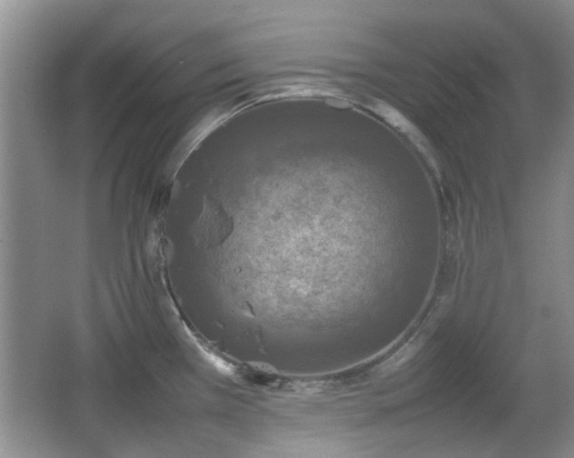 X0000067461385200604101122