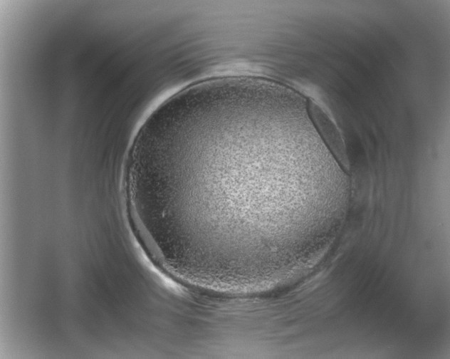 X0000067461387200604101121