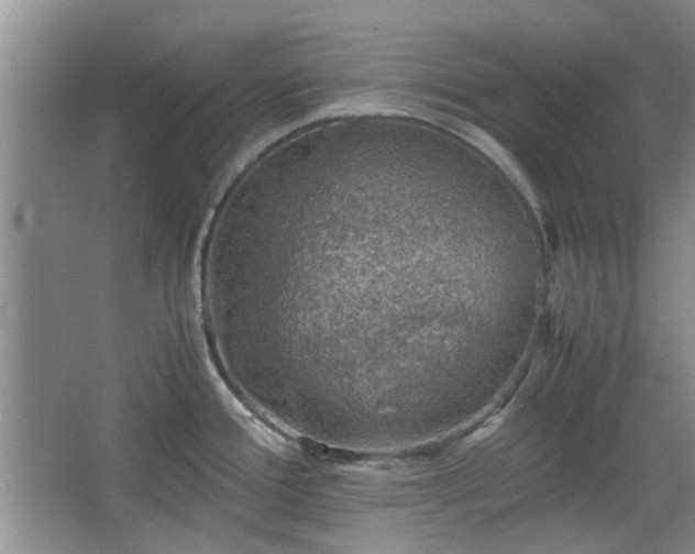 X0000067461388200604101121