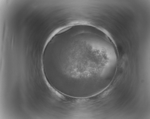 X0000067461389200604101121