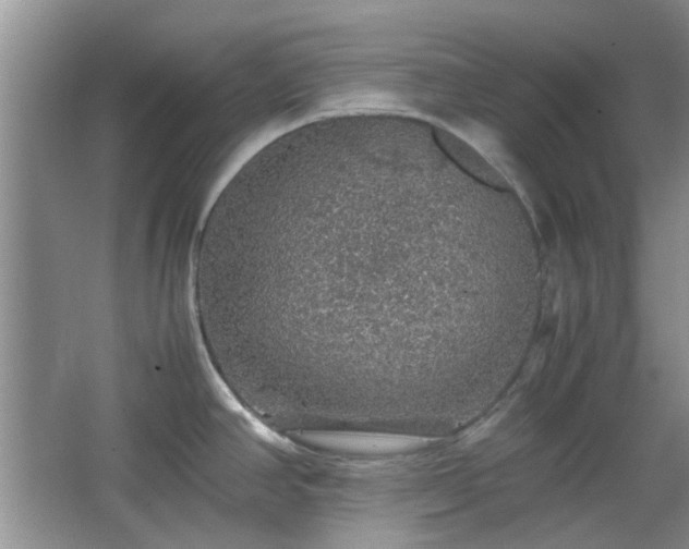 X0000067461390200604101121