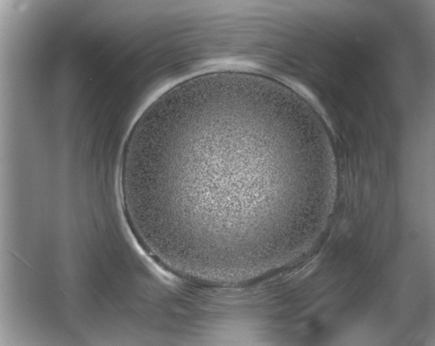 X0000067461391200604101121