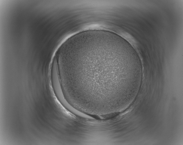 X0000067461392200604101121