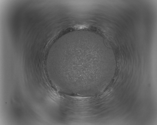 X0000067461393200604101121