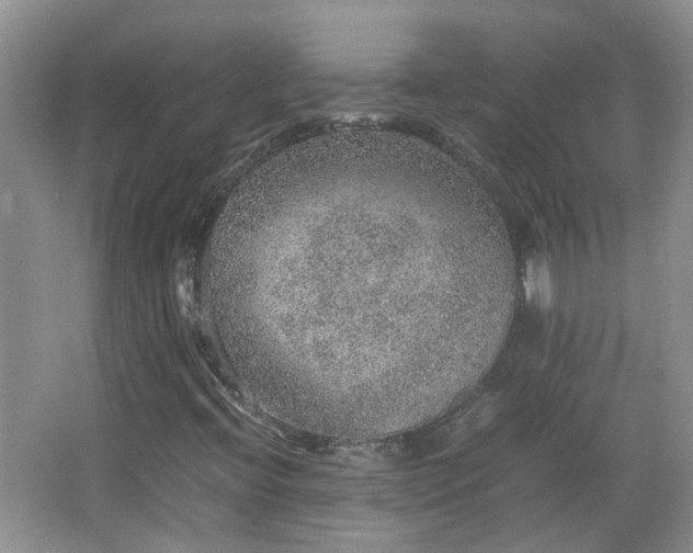 X0000067461396200604101121