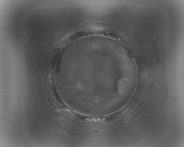 X0000067461397200604101121