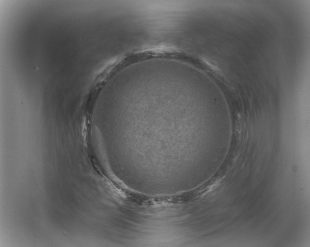 X0000067461398200604101121