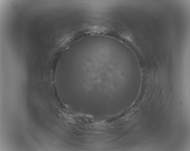 X0000067461399200604101121