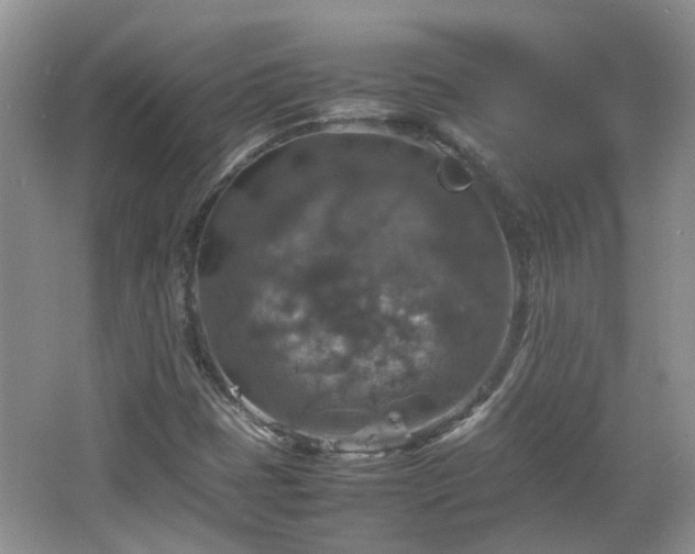 X0000067461401200604101121