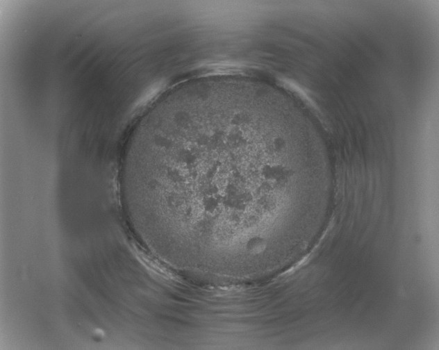 X0000067461403200604101121