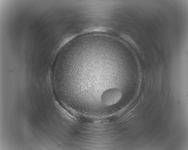 X0000067461404200604101121