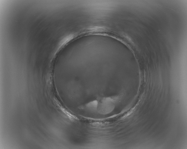 X0000067461405200604101121