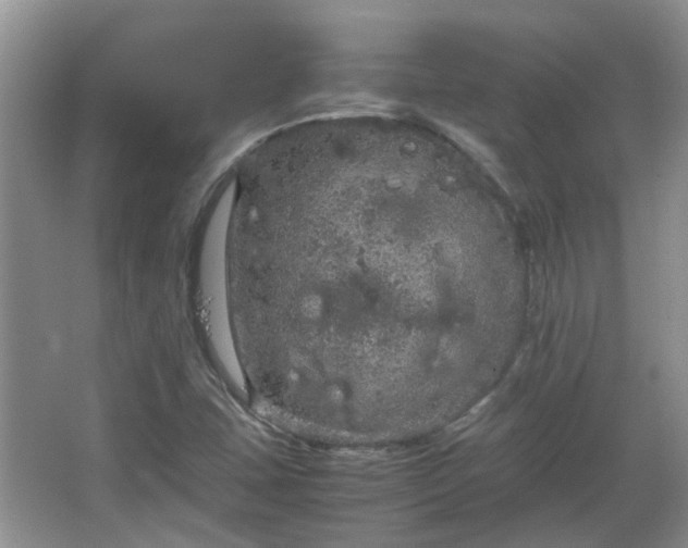 X0000067461407200604101121