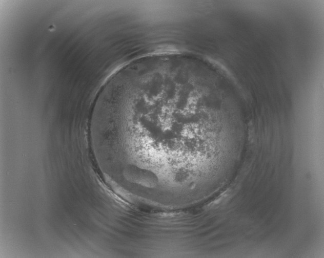 X0000067461409200604101121