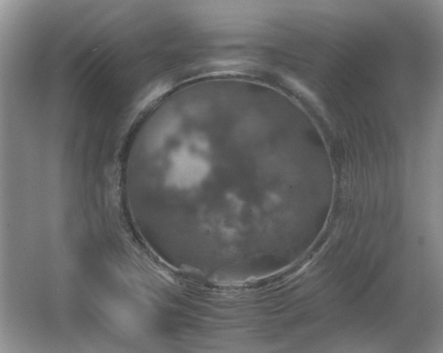 X0000067461411200604101121