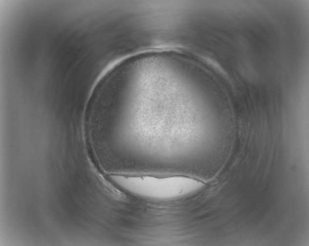 X0000067461412200604101121