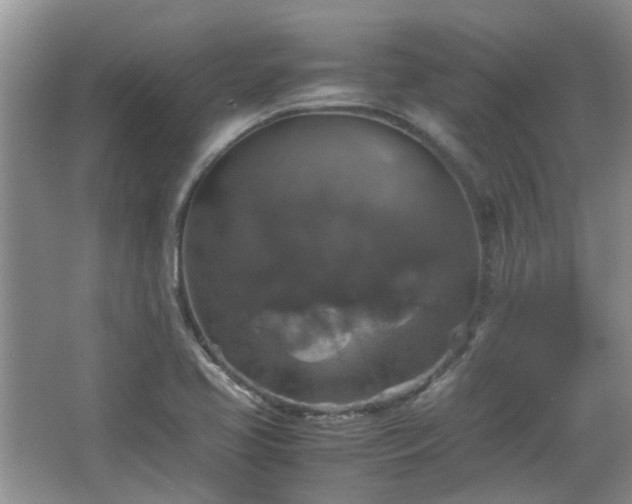 X0000067461413200604101121