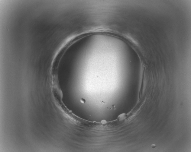 X0000067461414200604101121