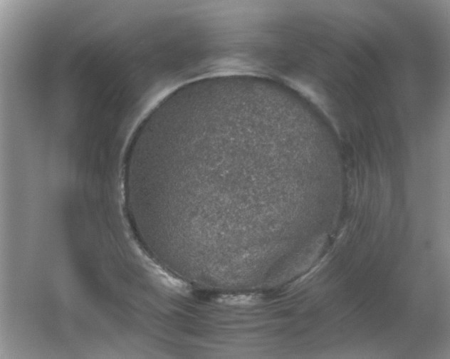 X0000067461415200604101121