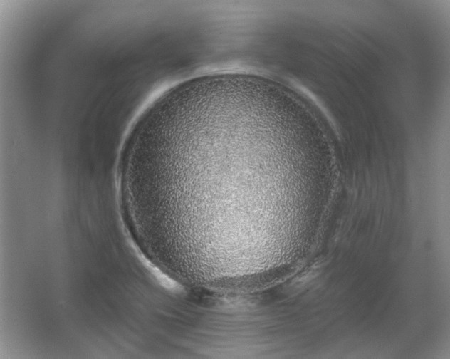 X0000067461416200604101121