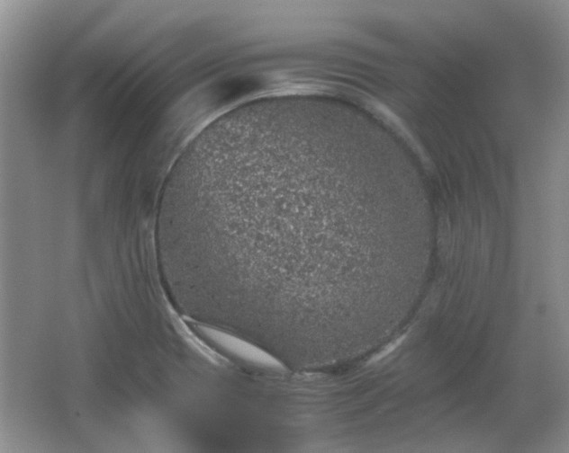 X0000067461417200604101121