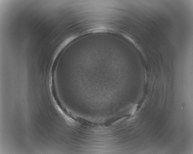 X0000067461418200604101121