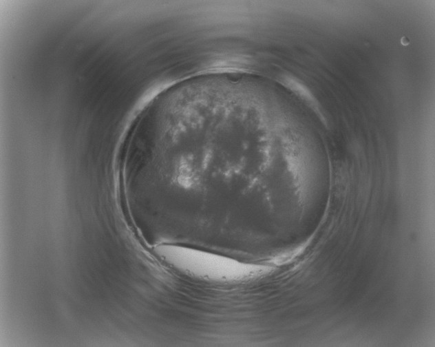 X0000067461419200604101121