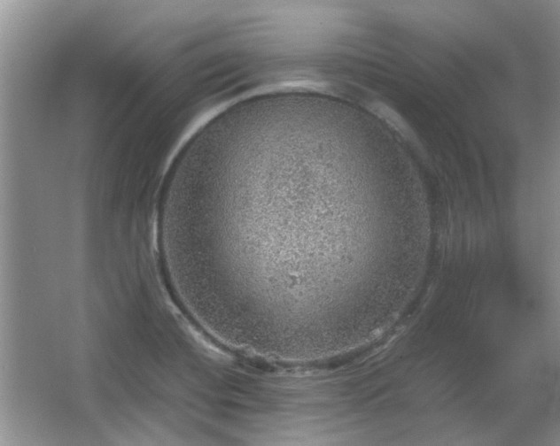 X0000067461420200604101121