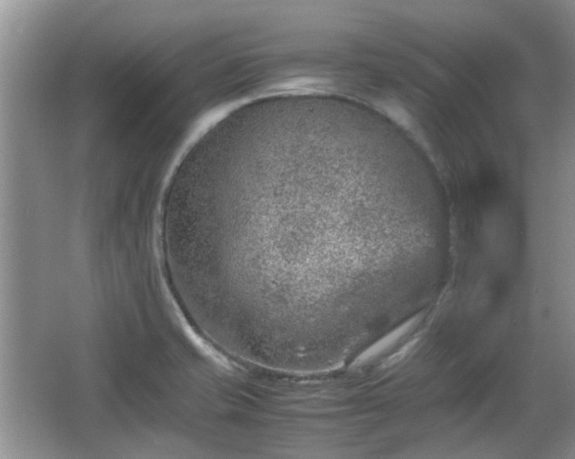 X0000067461421200604101121