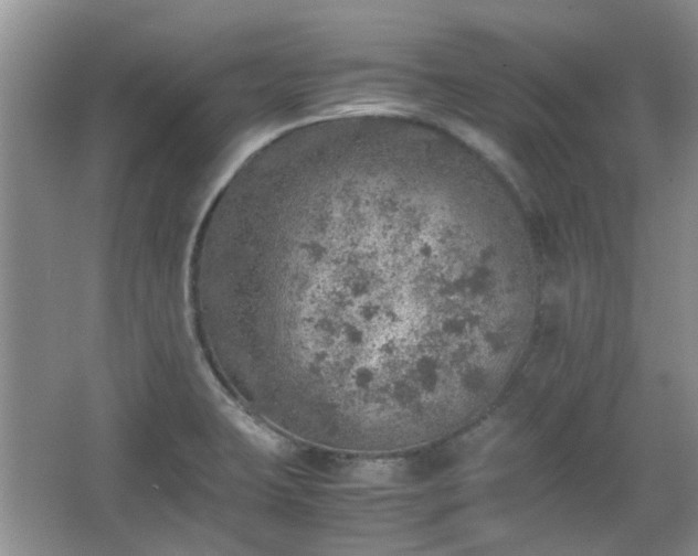 X0000067461423200604101121