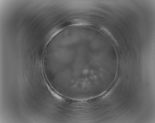 X0000067461425200604101121