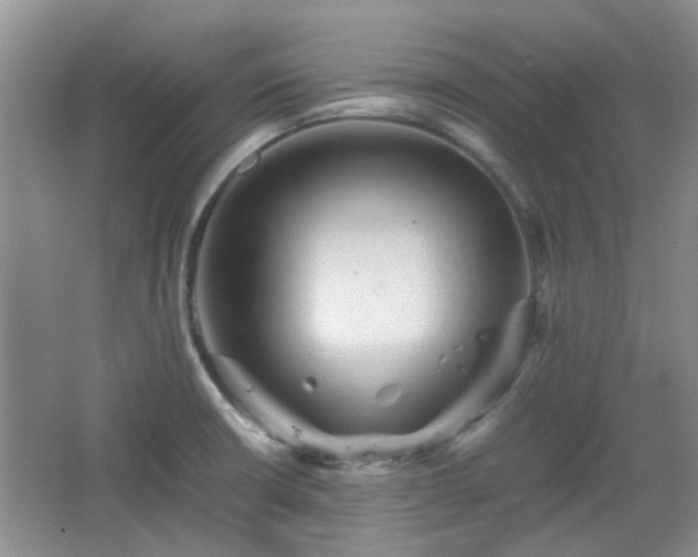 X0000067461426200604101121