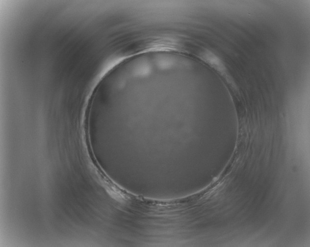 X0000067461427200604101121