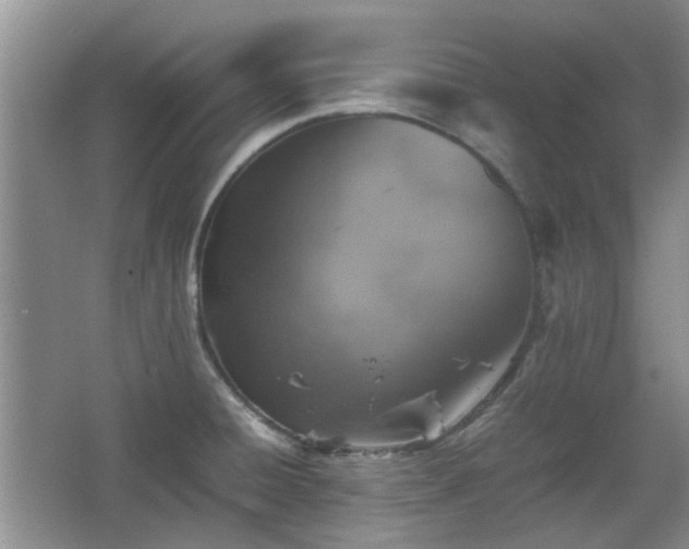 X0000067461428200604101121