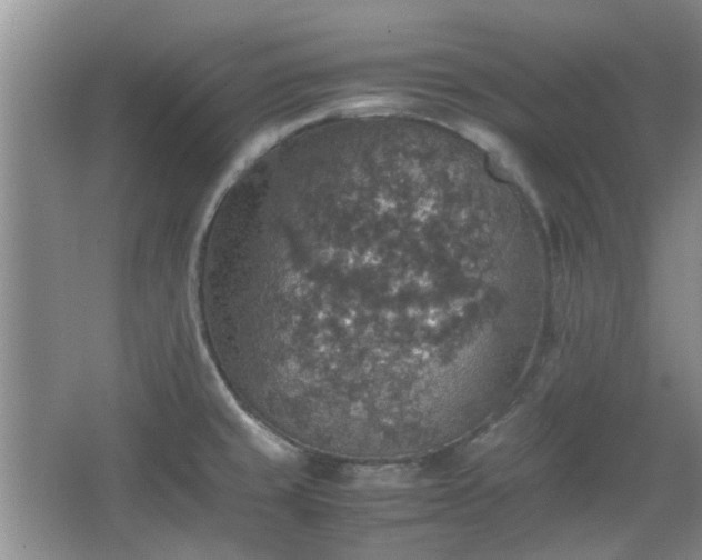 X0000067461429200604101121