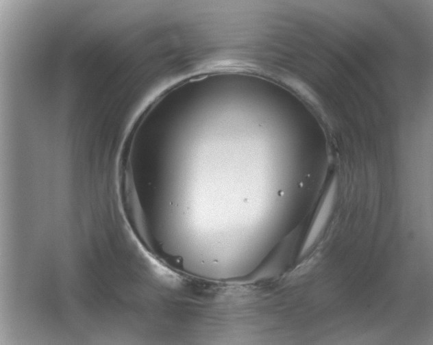 X0000067461430200604101121