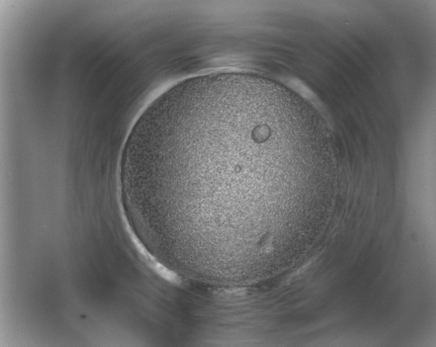 X0000067461431200604101121