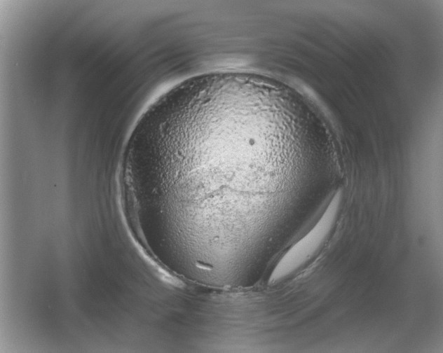 X0000067461432200604101121