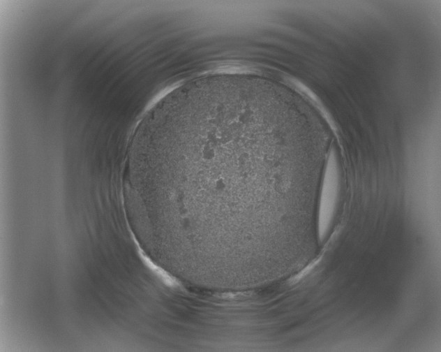 X0000067461433200604101121