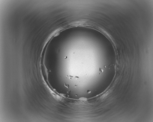 X0000067461434200604101121