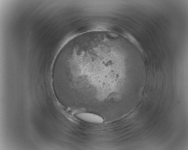 X0000067461435200604101121