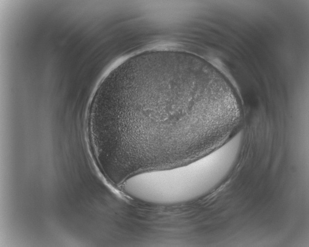 X0000067461437200604101121