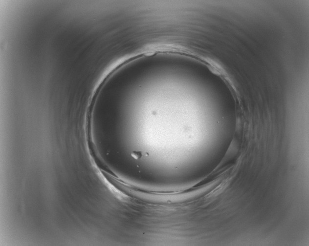 X0000067461438200604101121