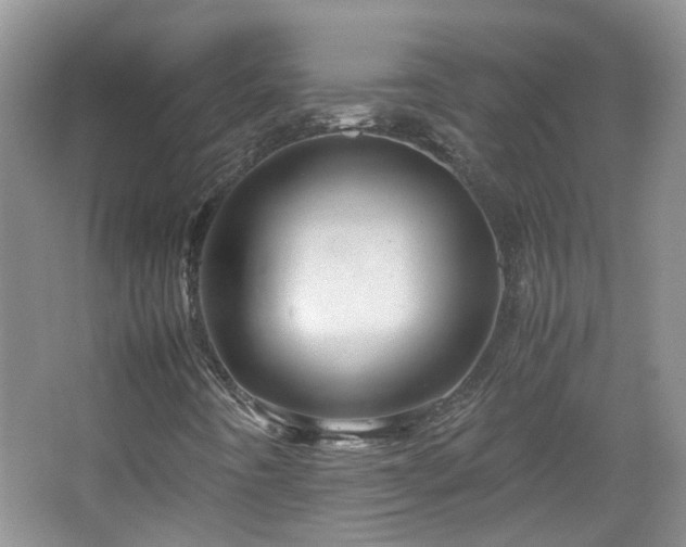 X0000067461442200604101121