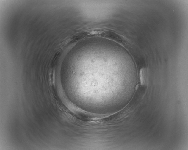 X0000067461443200604101121