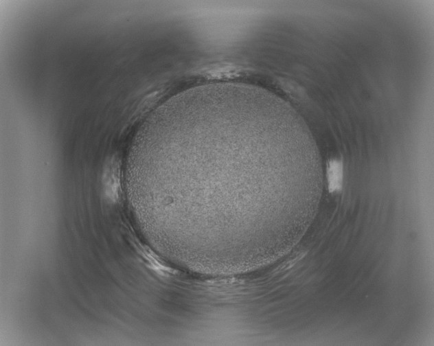 X0000067461444200604101121